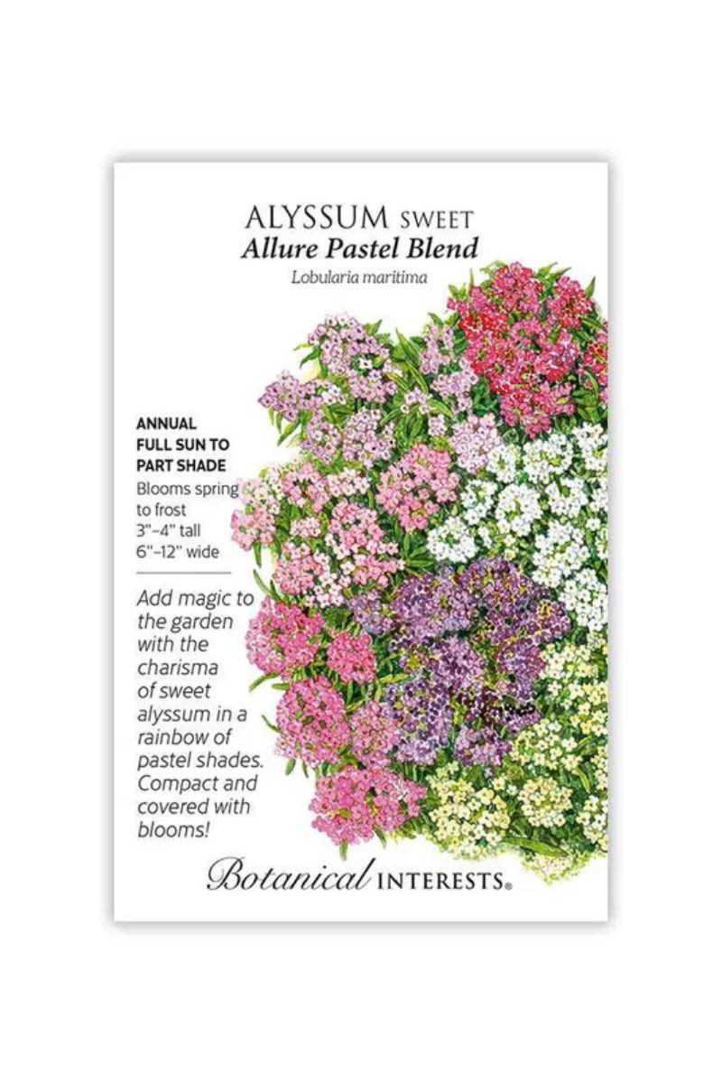 Botanical Interests Allure Blend Sweet Alyssum Seeds