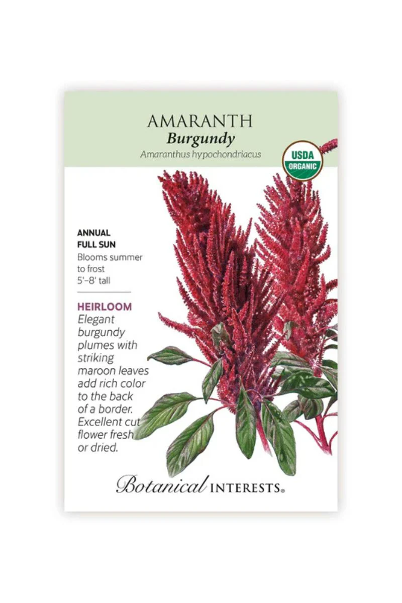 Botanical Interests Burgundy Amaranth Organic Seeds