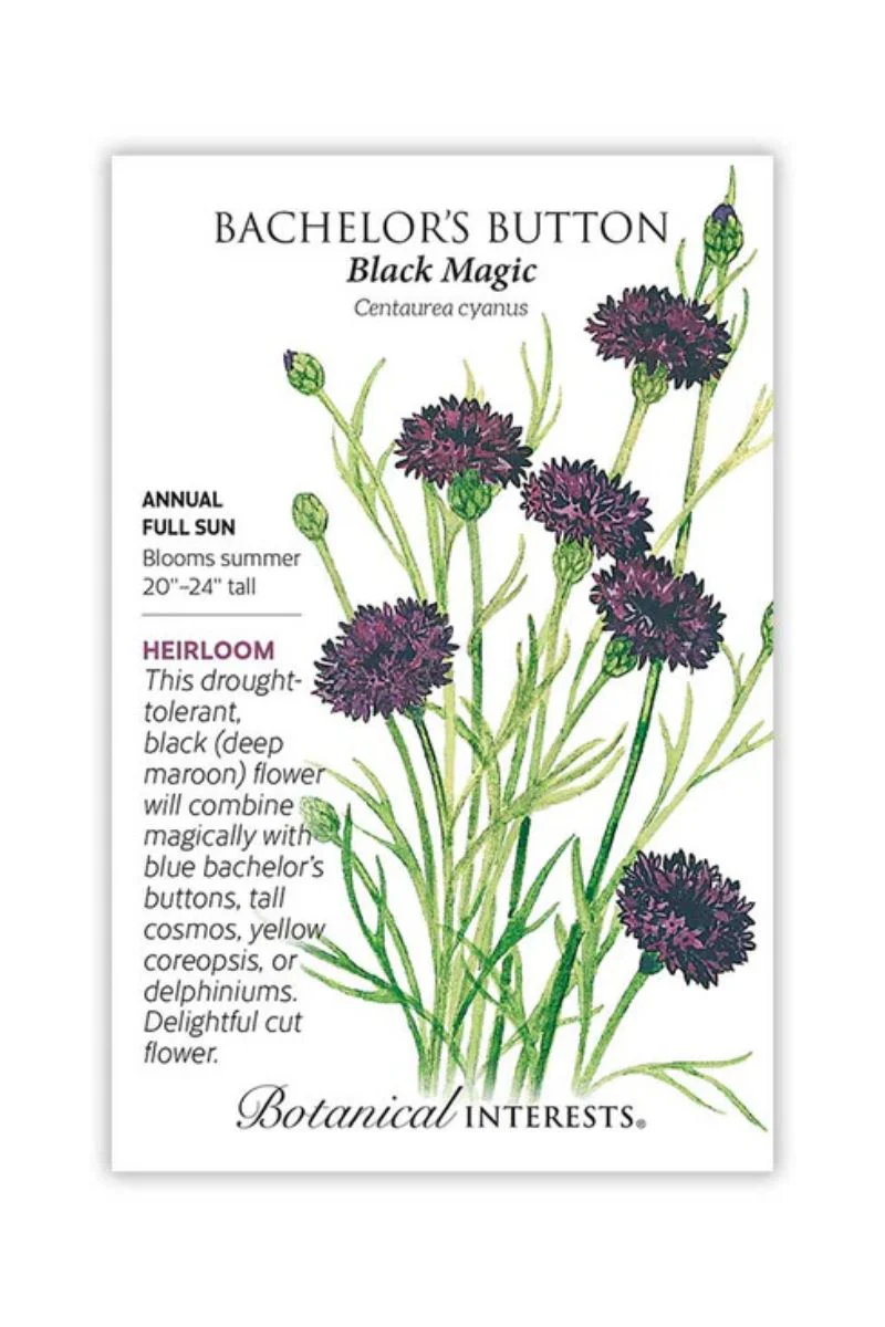 Botanical Interests Black Magic Bachelor's Button Seeds