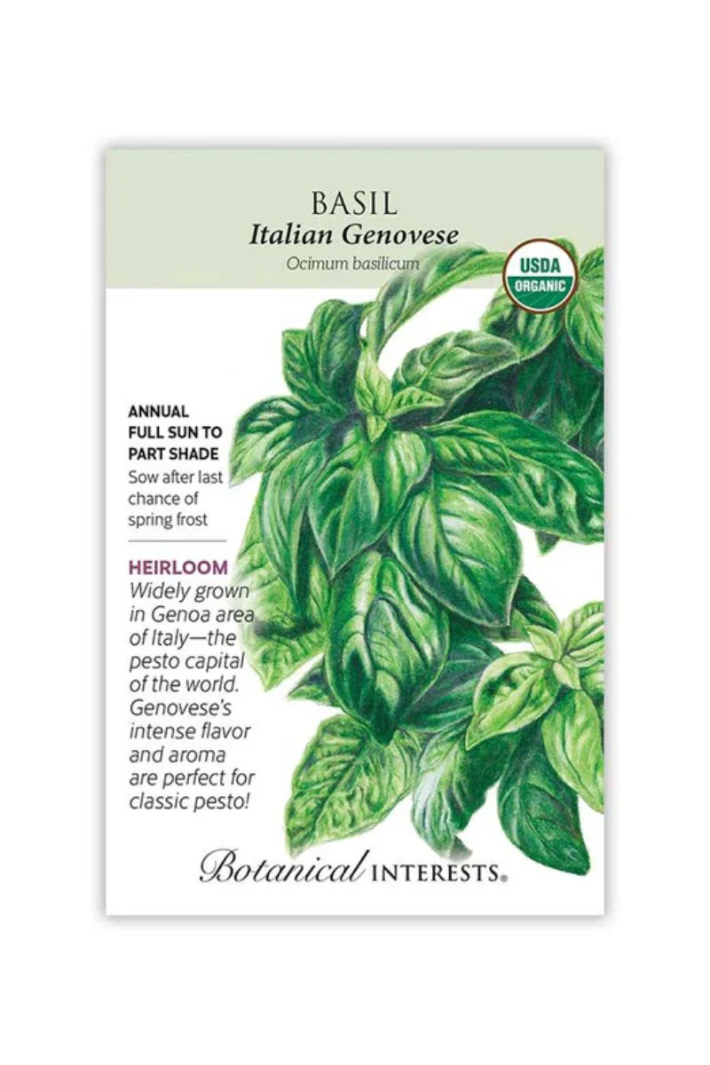 Botanical Interests Italian Genovese Basil Organic Seeds Large