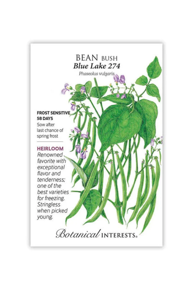 Botanical Interests Blue Lake 274 Bush Beans  Seeds