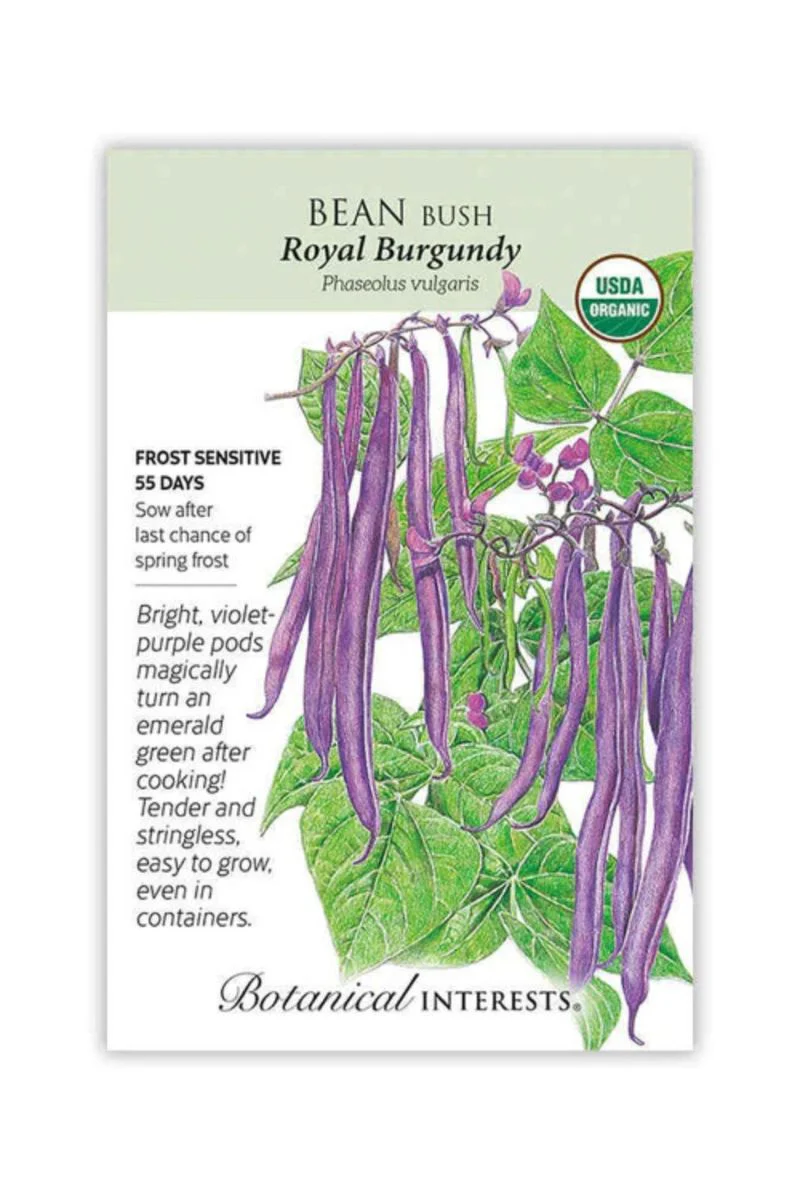 Botanical Interests Royal Burgundy Bush Bean Seeds