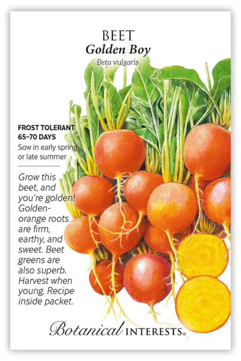 Botanical Interests Golden Boy Beet Seeds