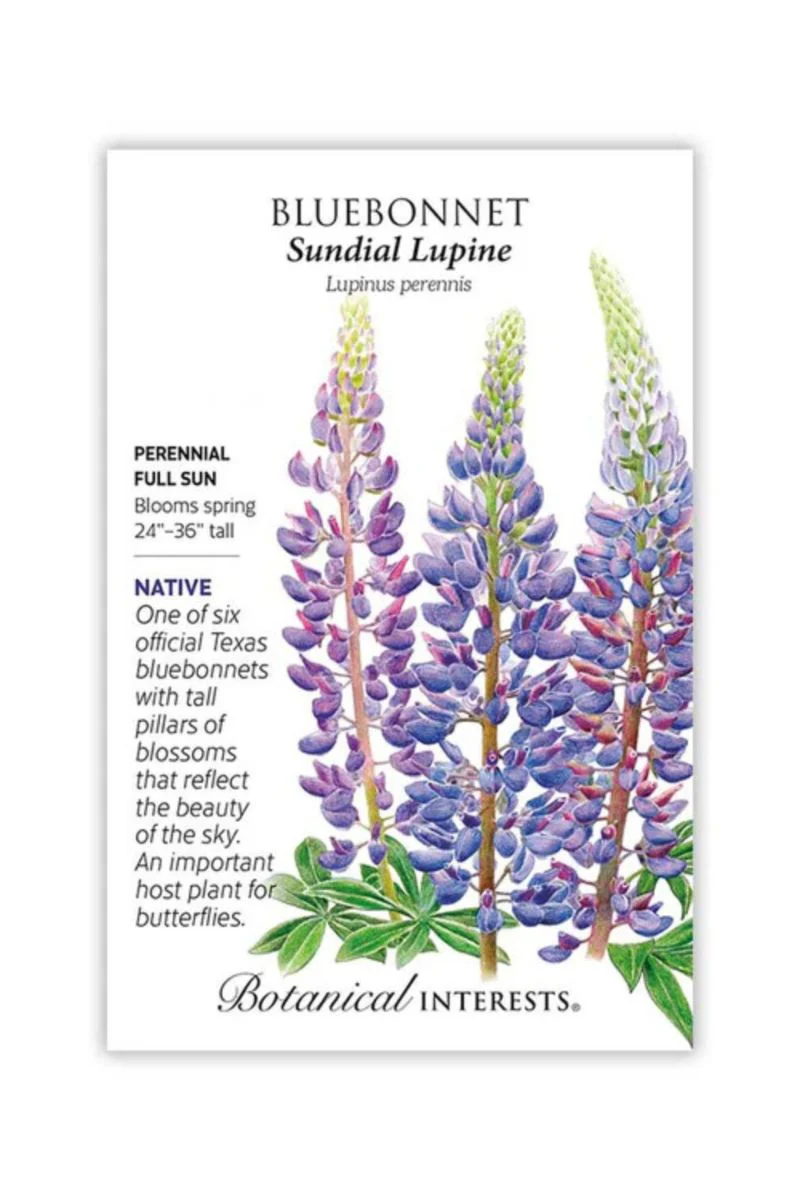 Botanical Interests Sundial Lupine Bluebonnet Seeds