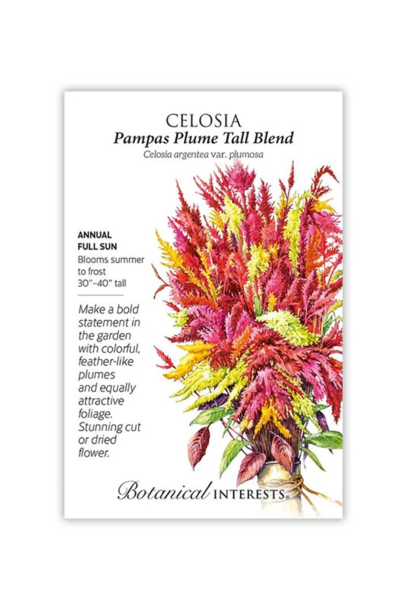 Botanical Interests Pampas Plume Tall Blend Celosia Seeds