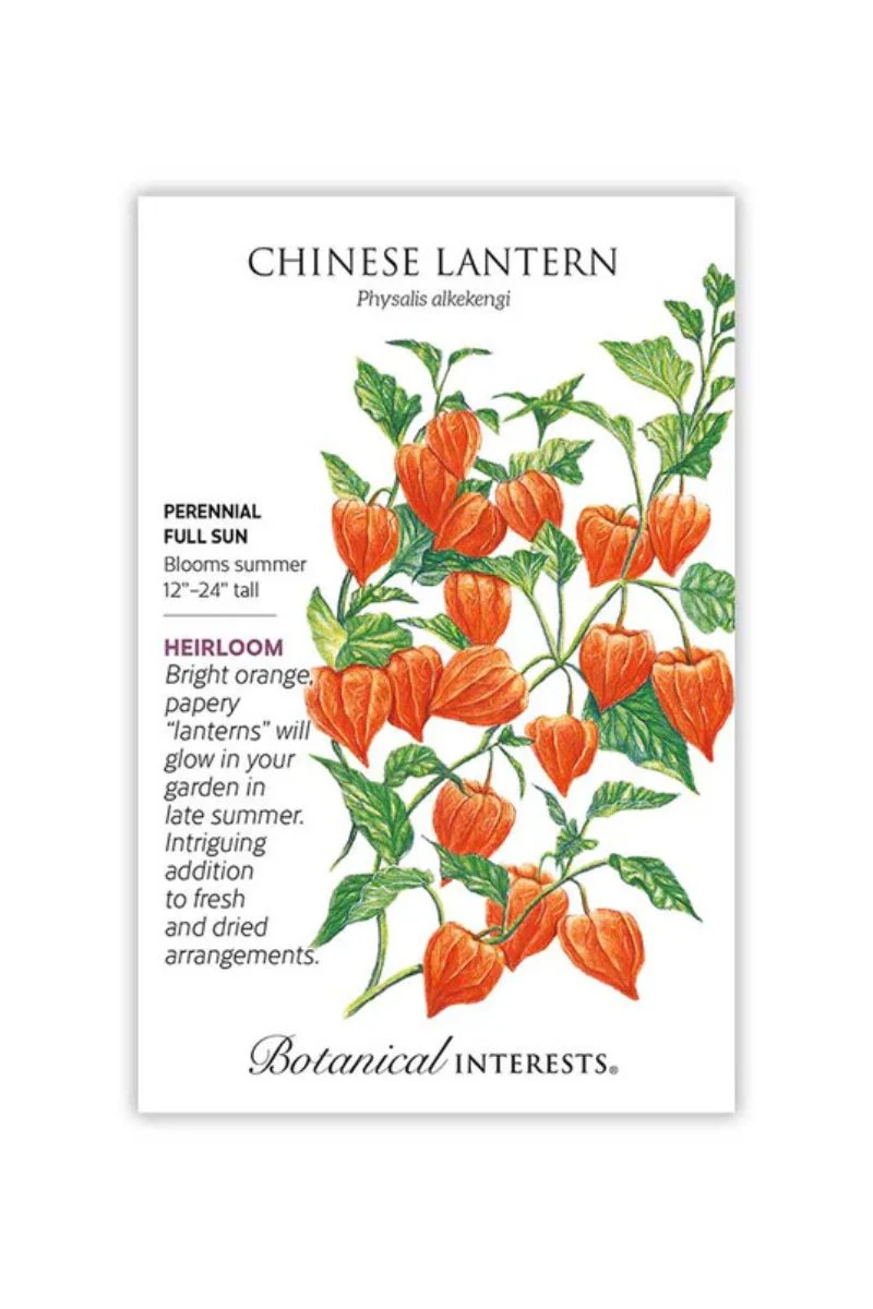 Botanical Interests Chinese Lantern Seeds