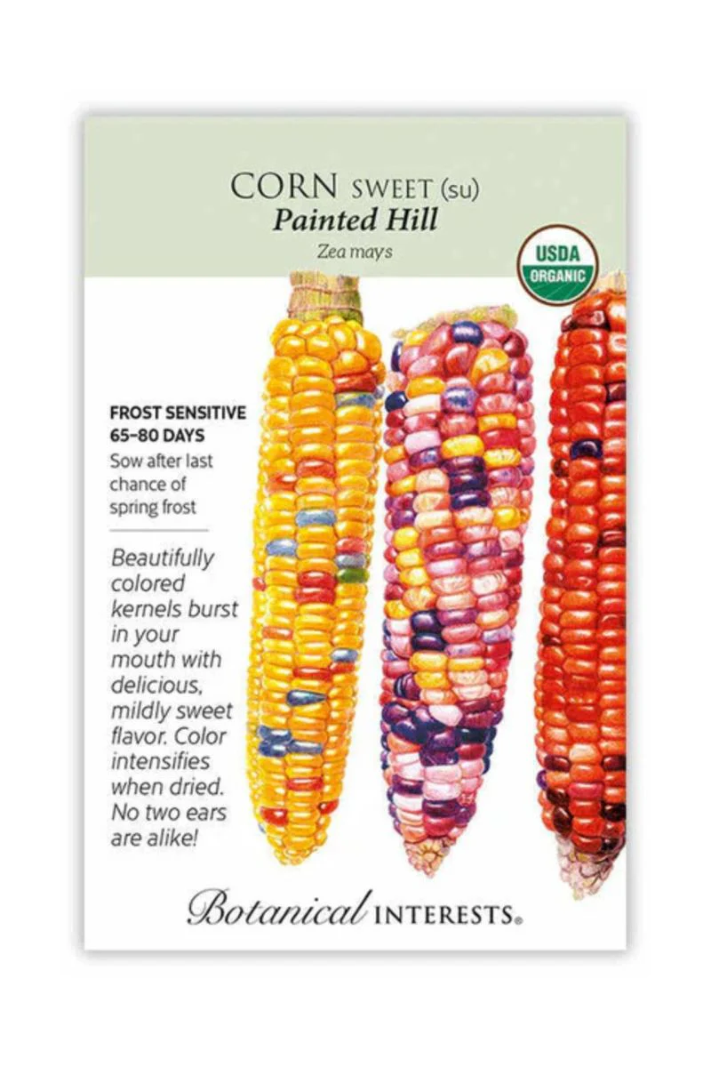 Botanical Interests Painted Hill Sweet Corn Organic Seeds