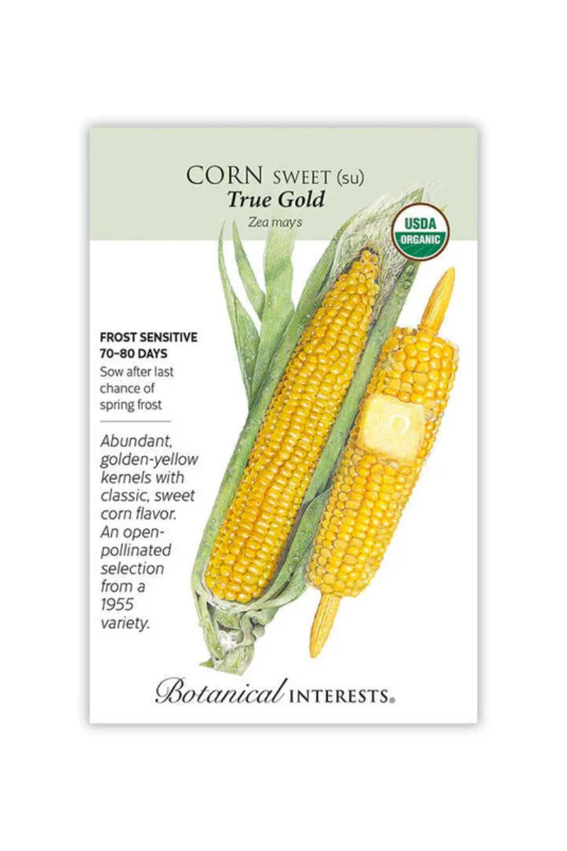 Botanical Interests True Gold Sweet Corn Organic Seeds