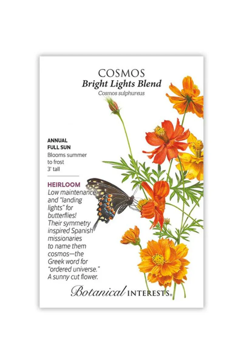 Botanical Interests Bright Lights Blend Cosmos Seeds