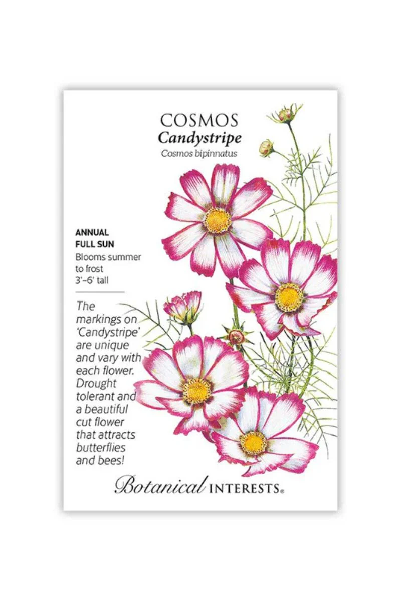 Botanical Interests Candystripe Cosmos Seeds