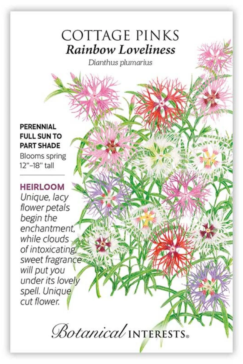 Botanical Interests Rainbow Loveliness Cottage Pinks Seeds - Image 2
