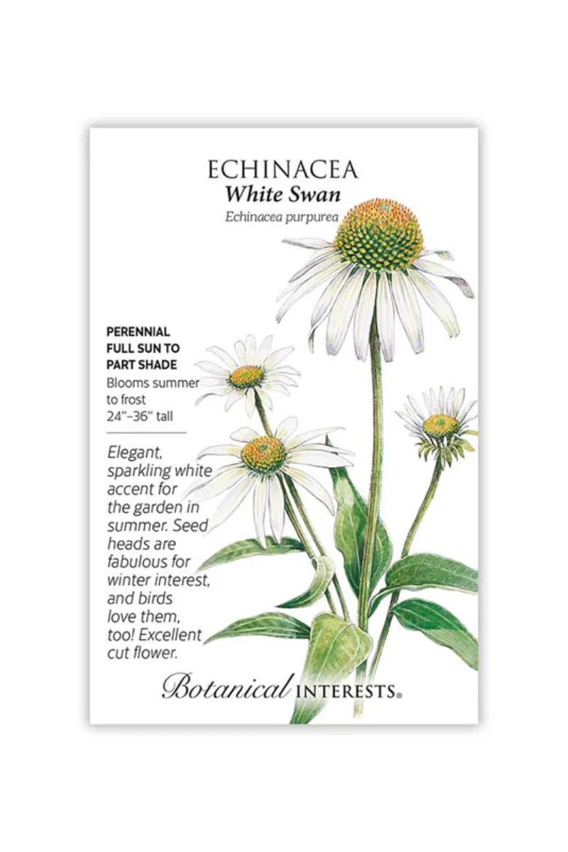 Botanical Interests White Swan Echinacea Seeds