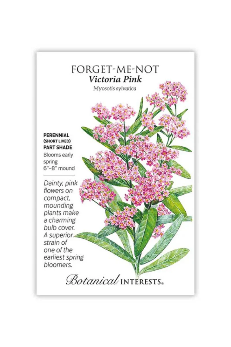 Botanical Interests Victoria Pink Forget-Me-Not Seeds