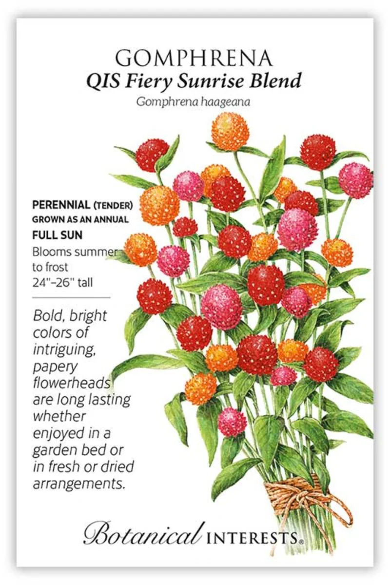 Botanical Interests QIS Fiery Sunrise Blend Gomphrena Seeds