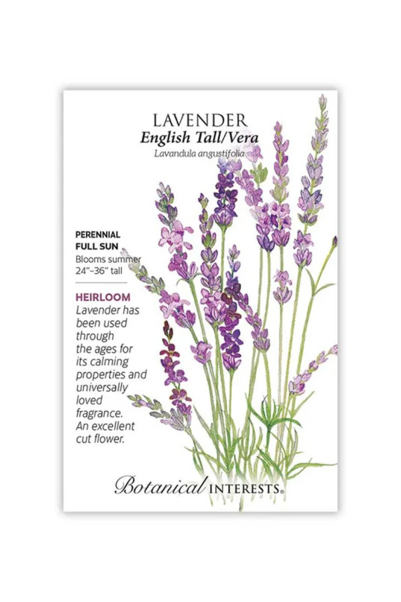 Botanical Interests English Tall/Vera Lavender Seeds