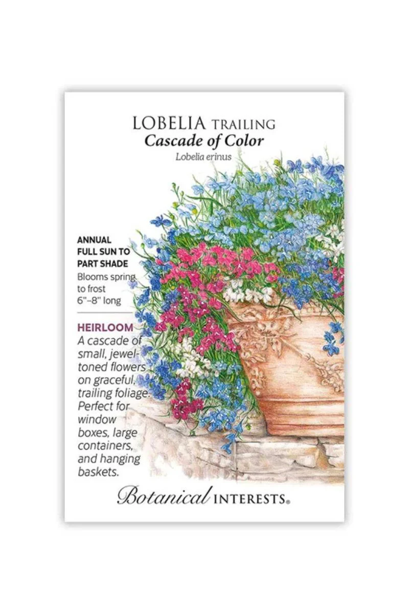 Botanical Interests Cascade of Color Trailing Lobelia Seeds