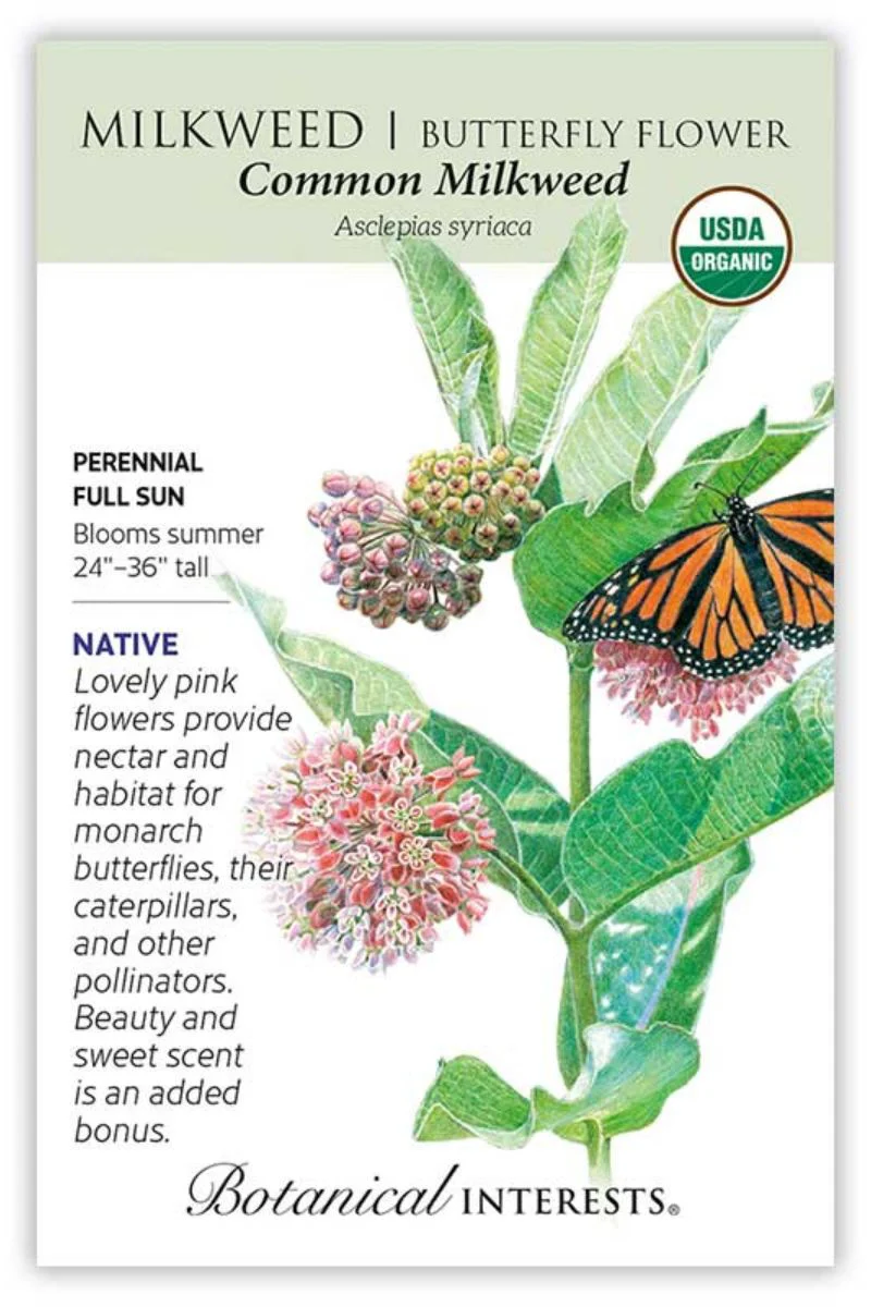 Botanical Interests Common Milkweed/Butterfly Flower Organic Seeds - Image 2