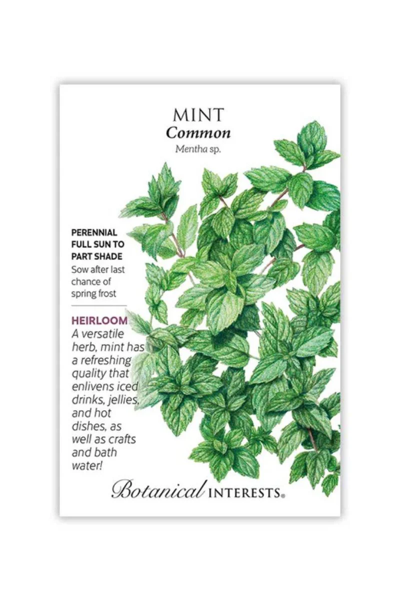 Botanical Interests Common Mint Seeds