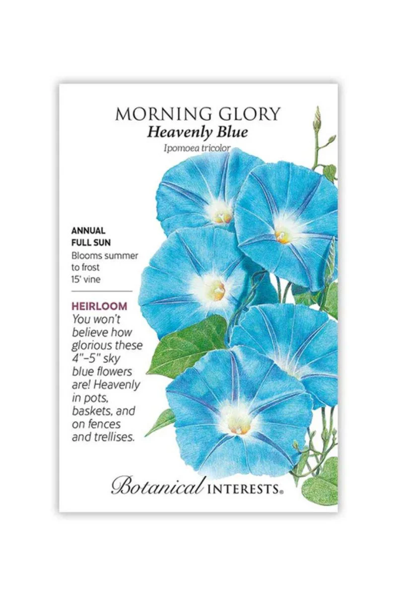 Botanical Interests Heavenly Blue Morning Glory Seeds