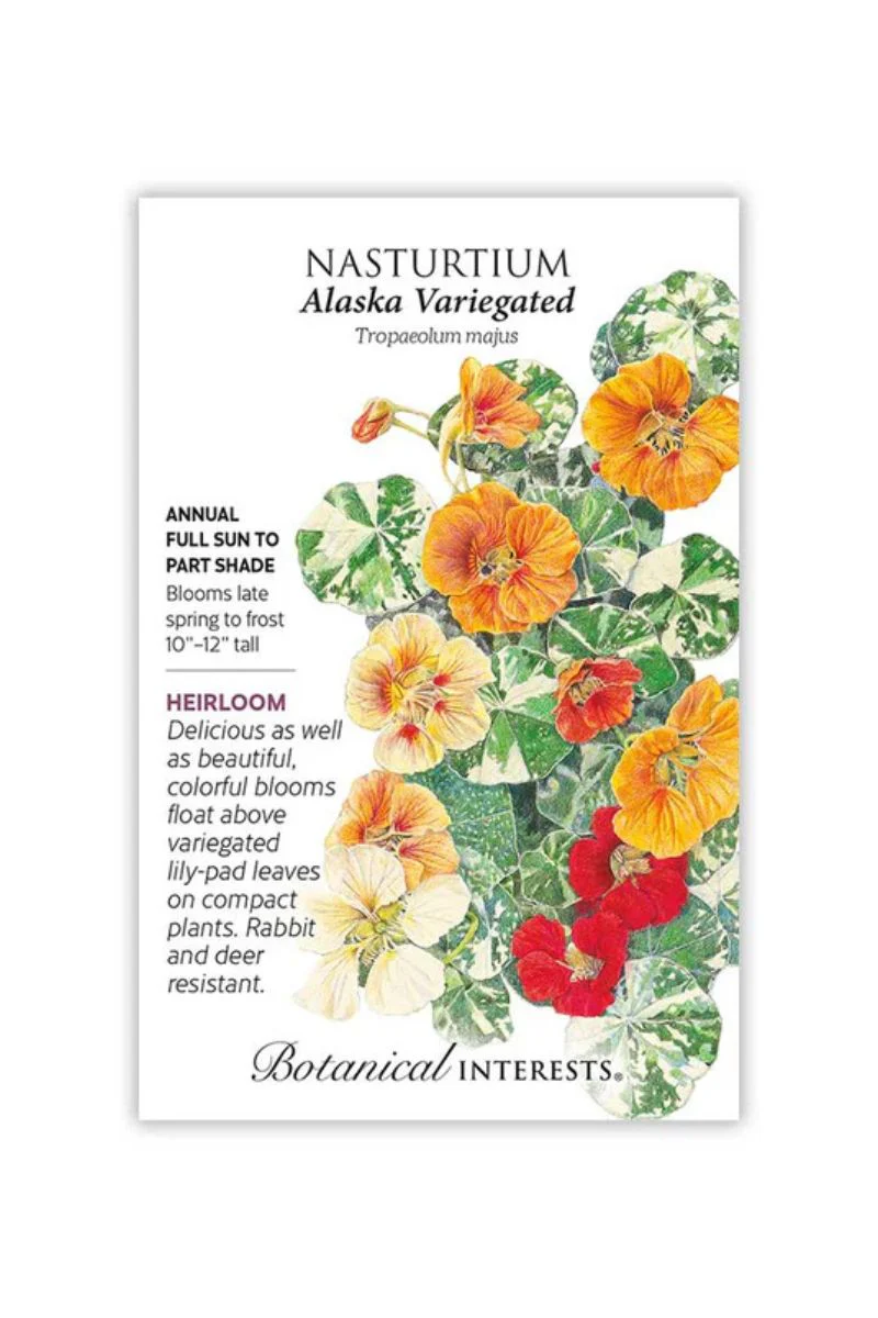 Botanical Interests Alaska Variegated Nasturtium Seeds