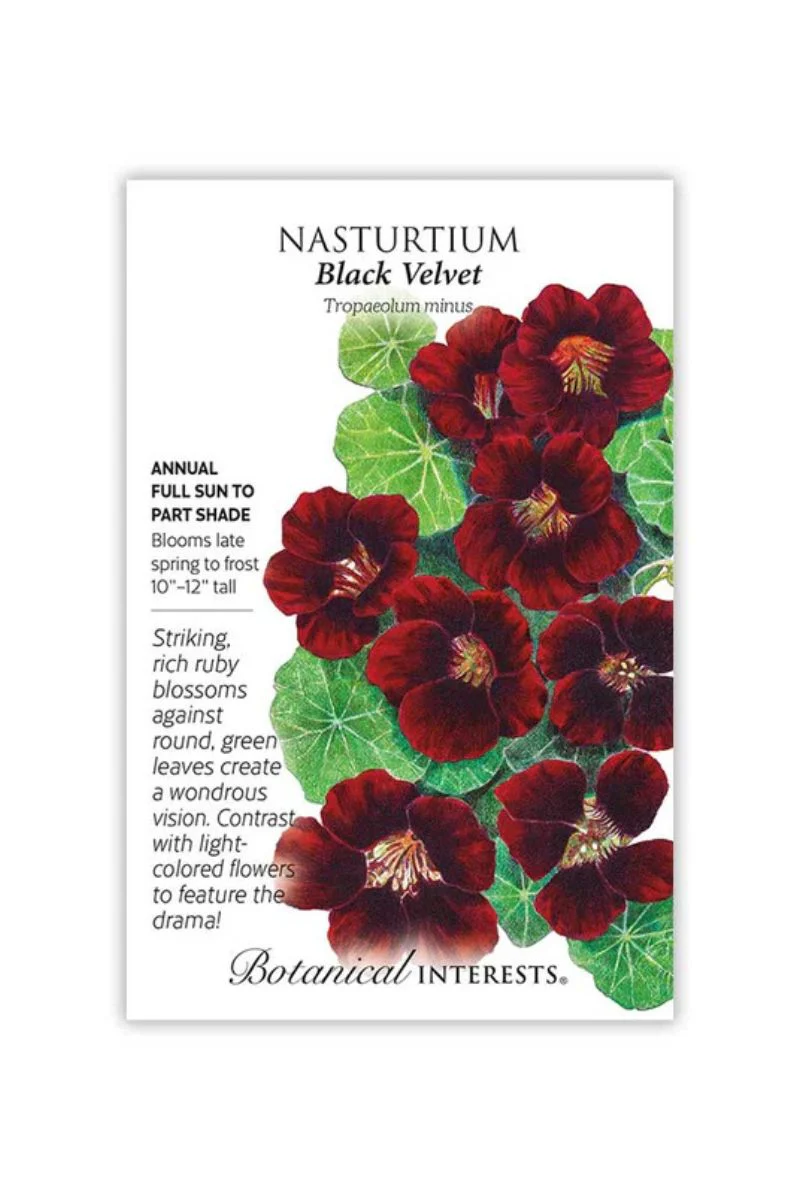 Botanical Interests Black Velvet Nasturtium Seeds