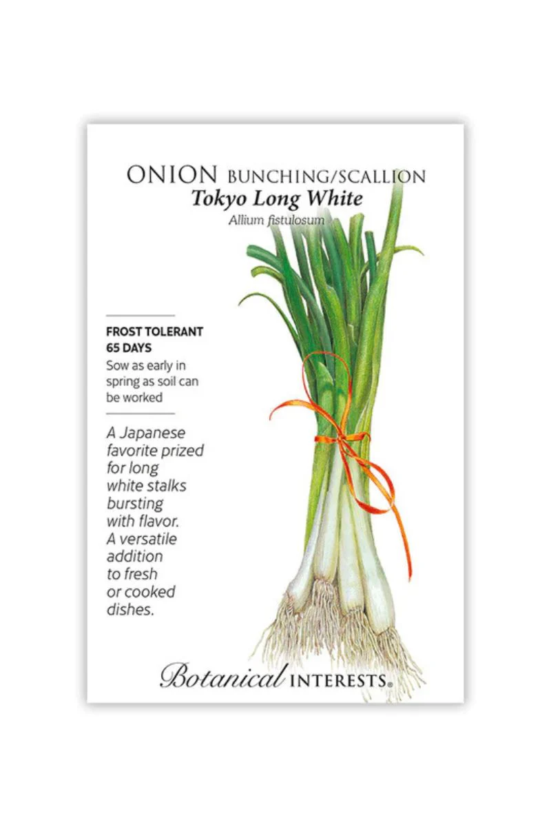 Botanical Interests Tokyo Long White Bunching/Scallion Onion Seeds