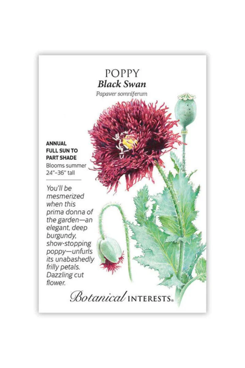 Botanical Interests Black Swan Poppy Seeds
