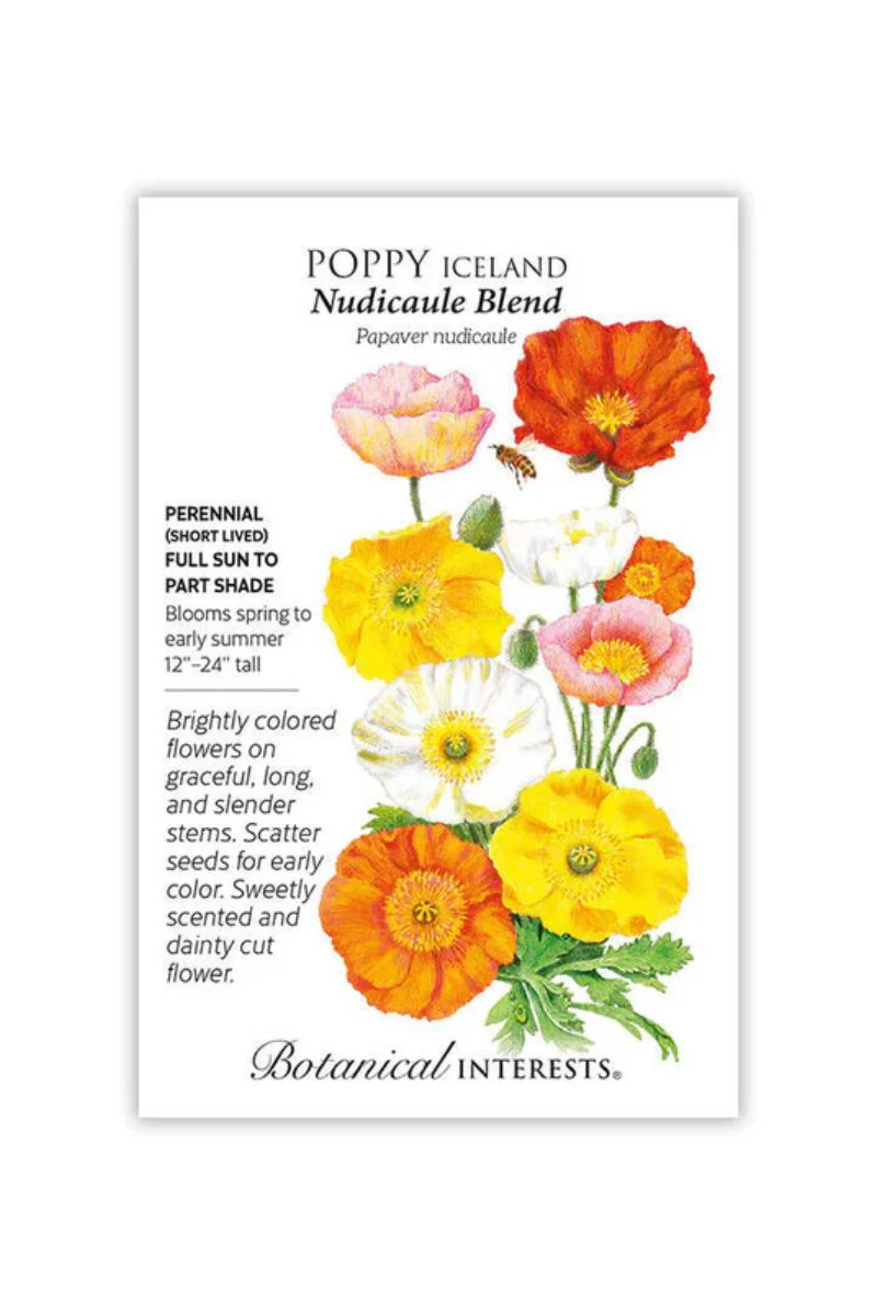 Botanical Interests Nudicaule Blend Iceland Poppy Seeds