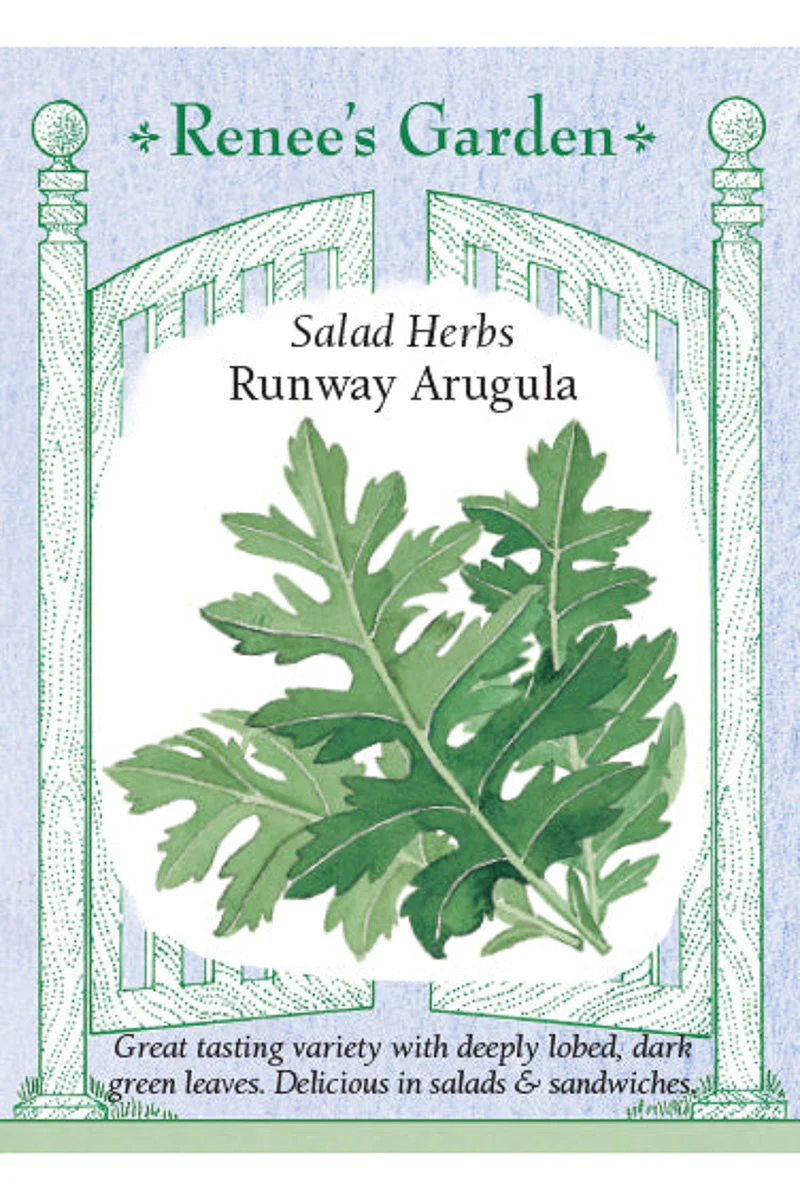 Renee's Garden Salad Herbs Runway Arugula Seeds