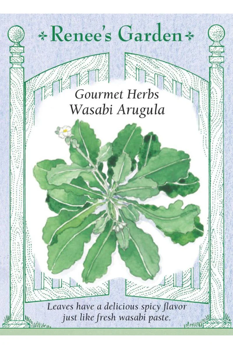 Renee's Garden Gourmet Herbs Wasabi Arugula Seeds