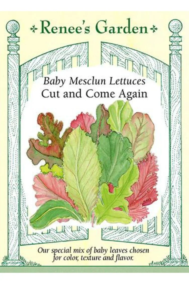 Renee's Garden Baby Mesclun Lettuces Cut and Come Again Seeds