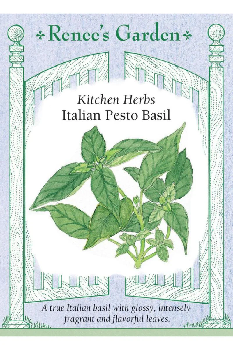 Renee's Garden Kitchen Herbs Italian Pesto Basil Seeds - Image 2
