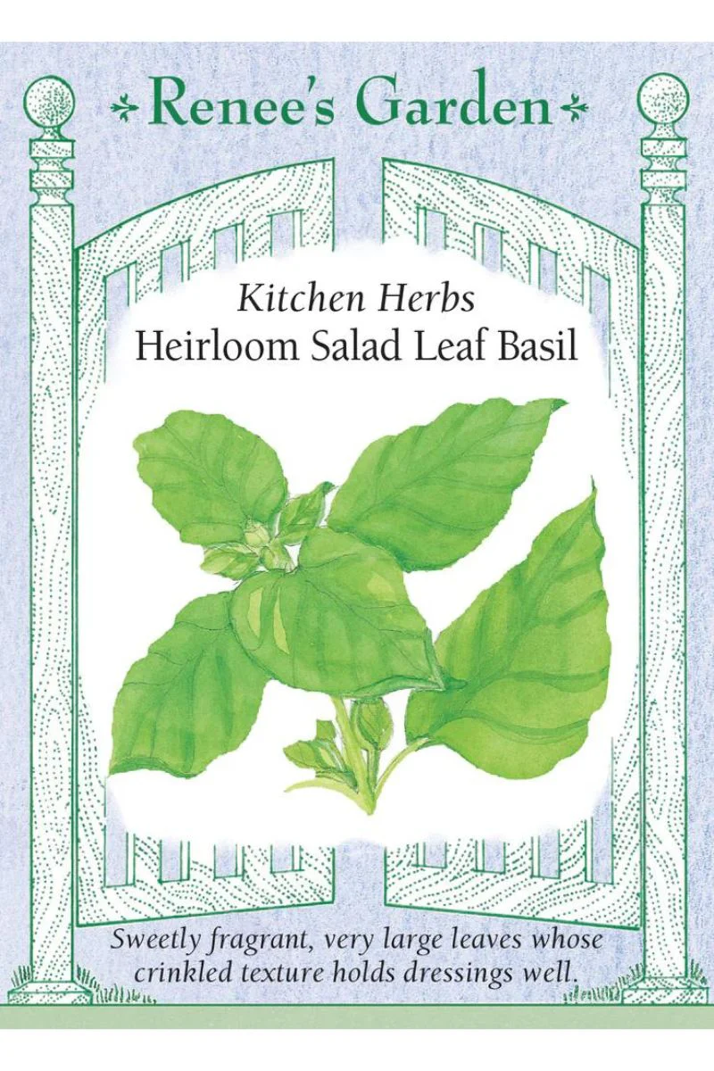 Renee's Garden Kitchen Herbs Heirloom Salad Leaf Basil Seeds - Image 2