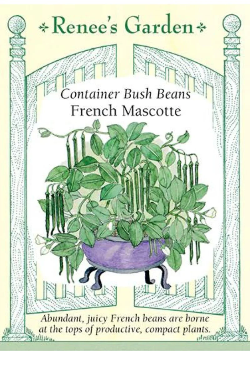 Renee's Garden Container Bush Beans French Mascotte Seeds