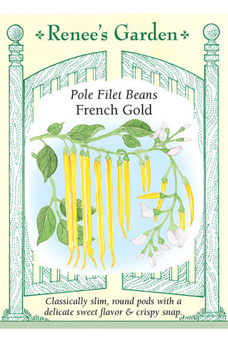 Renee's Garden Pole Filet Beans French Gold Seeds - Image 2