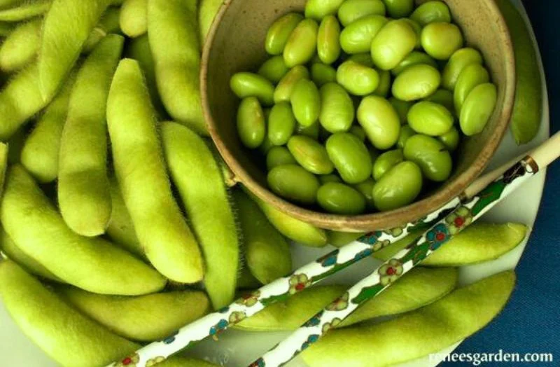 Renee's Garden Fresh Soy Beans Edamame Seeds - Image 2