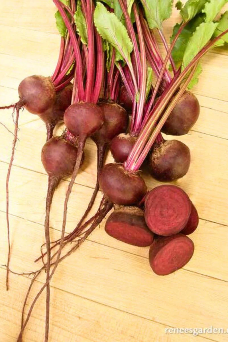 Renee's Garden Dutch Beets Baby Ball Seeds - Image 2