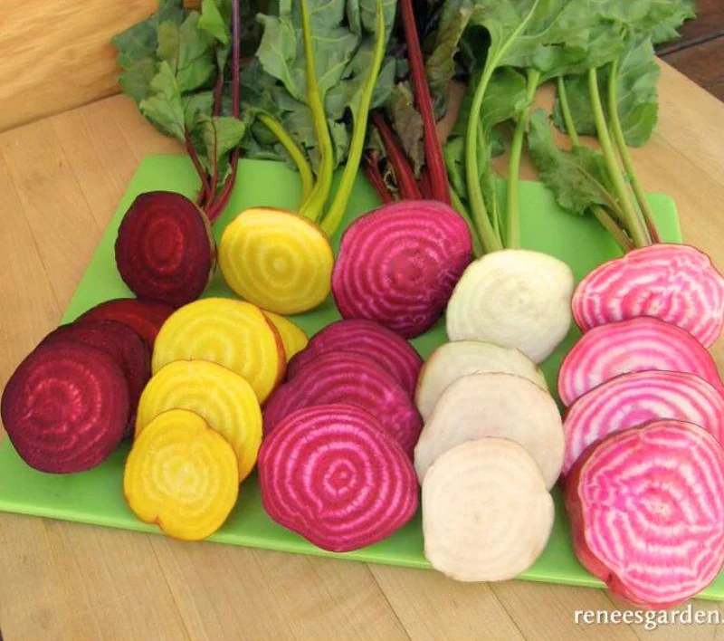 Renee's Garden Gourmat Beets Five Color Rainbow Seeds - Image 2