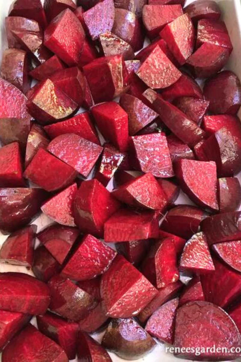 Renee's Garden Roasting Beets Sweet Merlin Seeds - Image 3