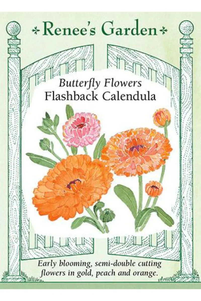 Renee's Garden Butterfly Flowers Flashback Calendula Seeds - Image 2