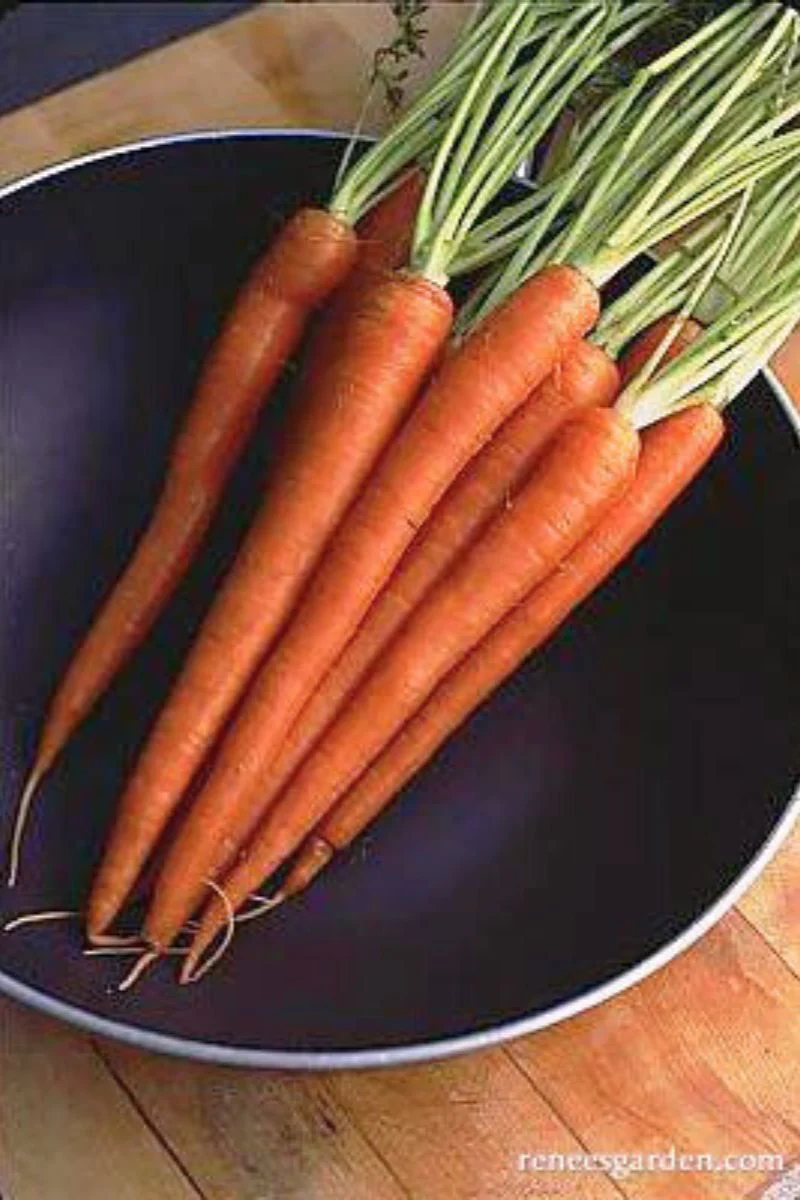 Renee's Garden Long Sweet Carrots King Midas Seeds - Image 2