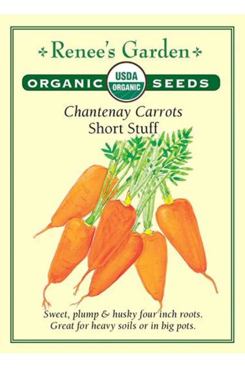 Renee's Garden Chantenay Carrots Short Stuff Organic Seeds