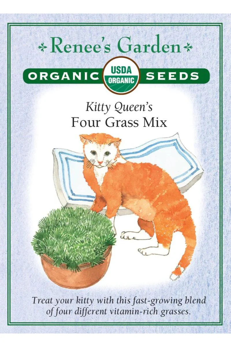 Renee's Garden Kitty Queen's Four Grass Mix Organic Seeds