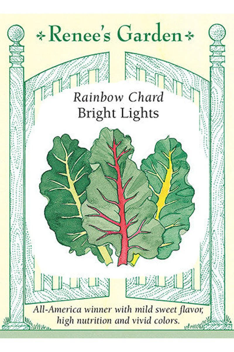 Renee's Garden Rainbow Chard Bright Lights Seeds - Image 2