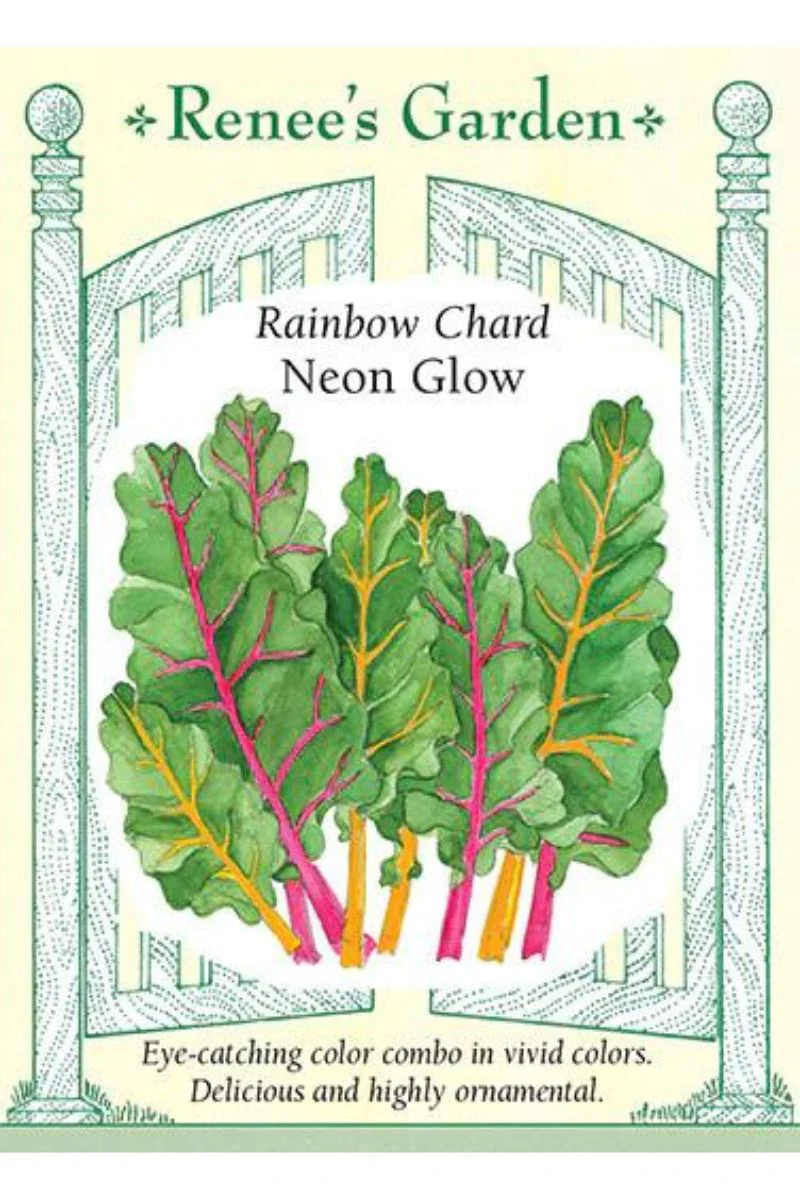 Renee's Garden Rainbow Chard Neon Glow Seeds - Image 2