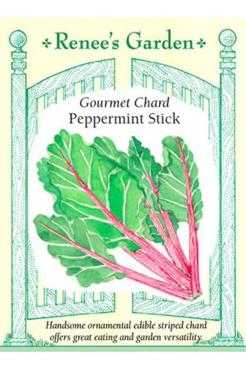 Renee's Garden Gourmet Chard Peppermint Stick Seeds - Image 2