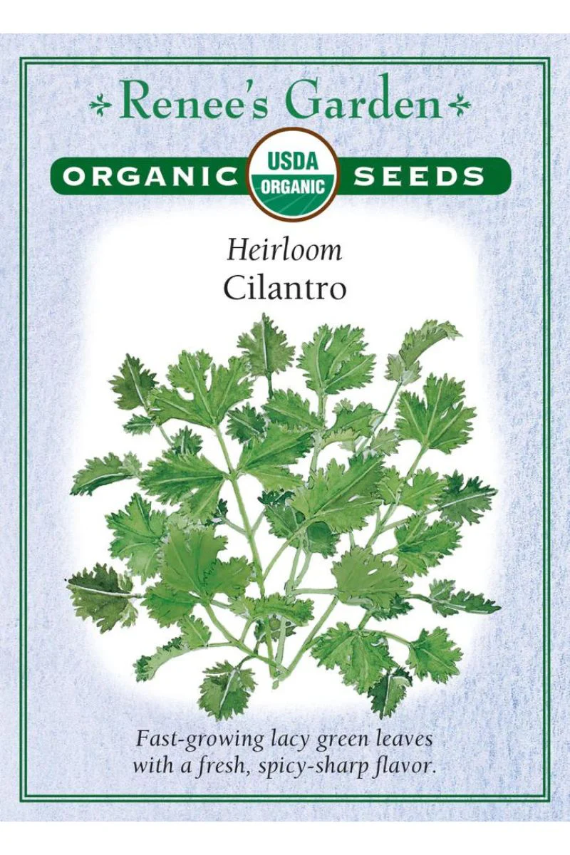 Renee's Garden Heirloom Cilantro Organic Seeds