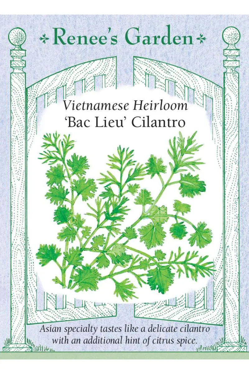 Renee's Garden Vietnamese Heirloom 'Bac Lieu' Cilantro Seeds