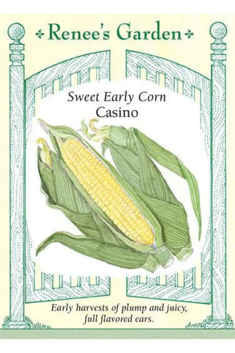 Renee's Garden Sweet Early Corn Casino Seeds