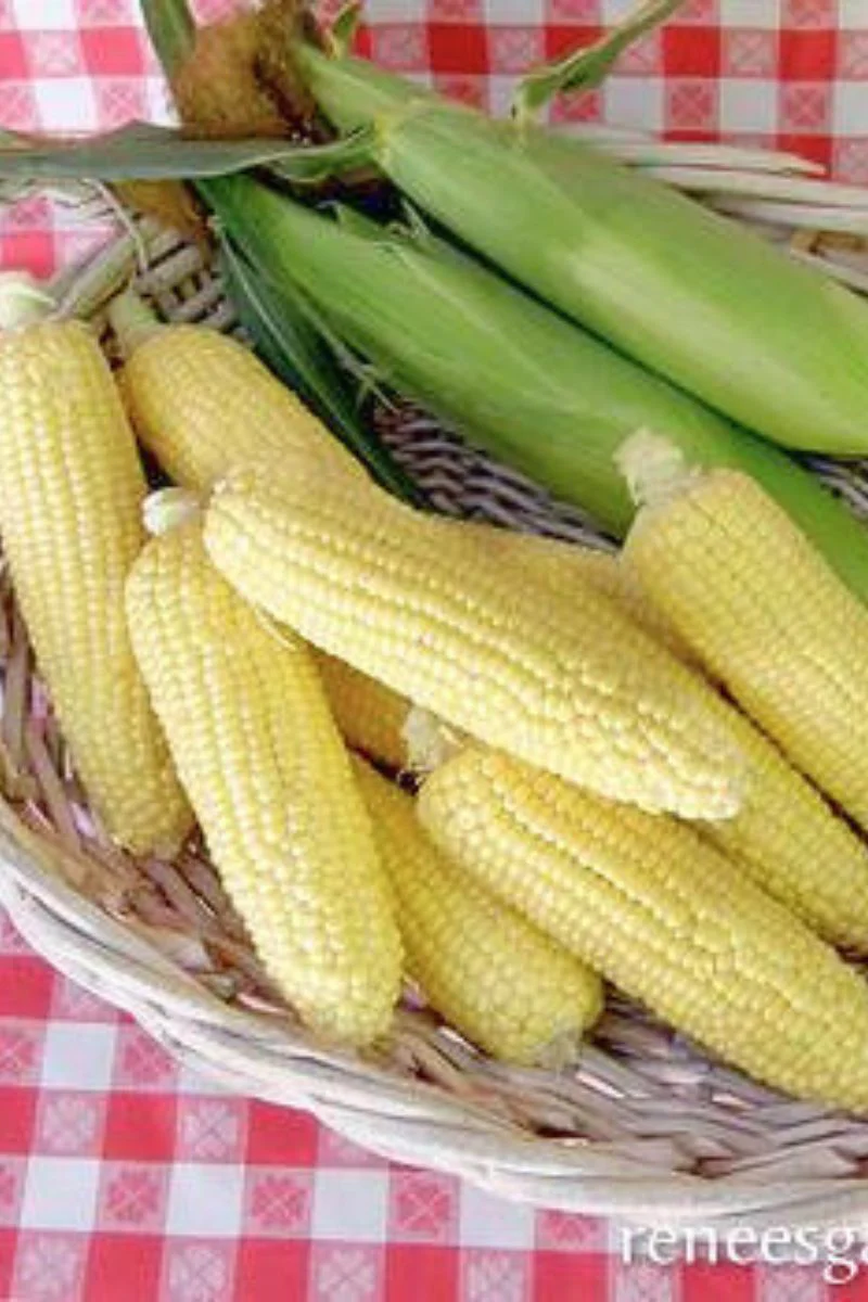 Renee's Garden Sweet Early Corn Casino Seeds - Image 2